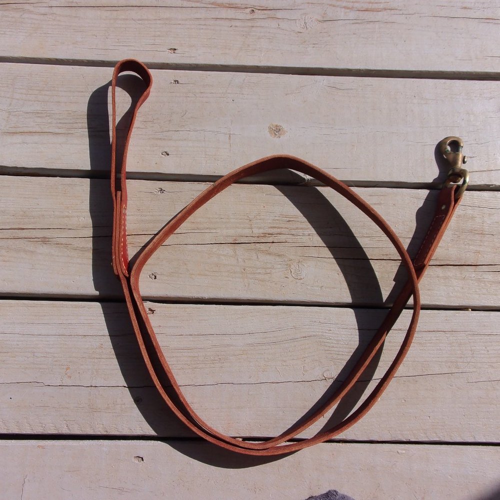 Ray Allen Latigo Leather Classic Lead